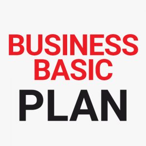 business basic internet plan