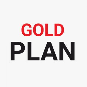 Gold Internet Plan